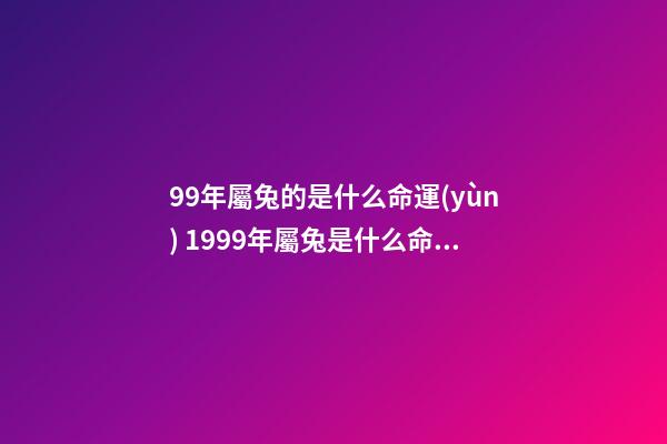 99年屬兔的是什么命運(yùn) 1999年屬兔是什么命1999年屬兔人一生命運(yùn)-第1張-觀點(diǎn)-玄機(jī)派